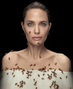 Angelina Jolie quiere proteger a las abejas y se rodeada el cuerpo con ellas